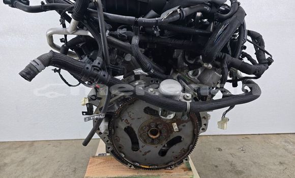 Buy DODGE CHARGER SXT in Tashir in Lori Buy DODGE CHARGER SXT in Tashir in Lori