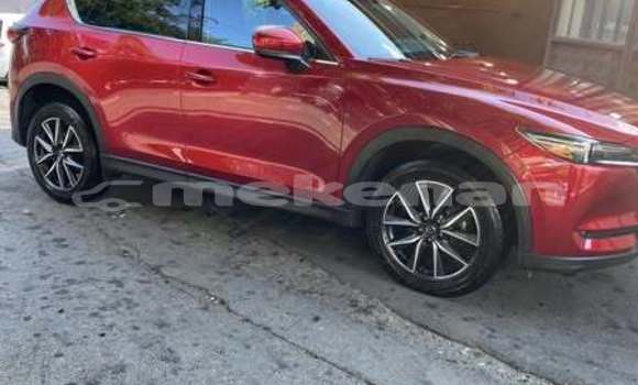 Buy Used Honda Accord Red Car in Armavir in Armavir Buy Used Honda Accord Red Car in Armavir in Armavir