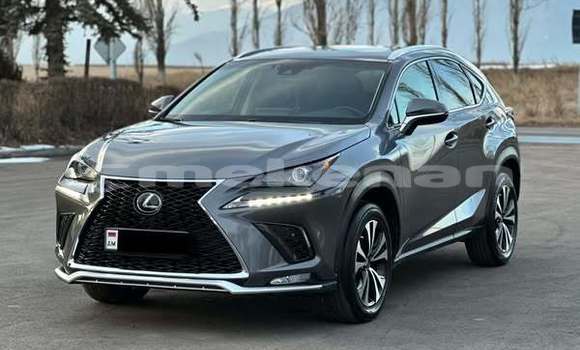 Buy Used Lexus NX Other Car in Armavir in Armavir Buy Used Lexus NX Other Car in Armavir in Armavir