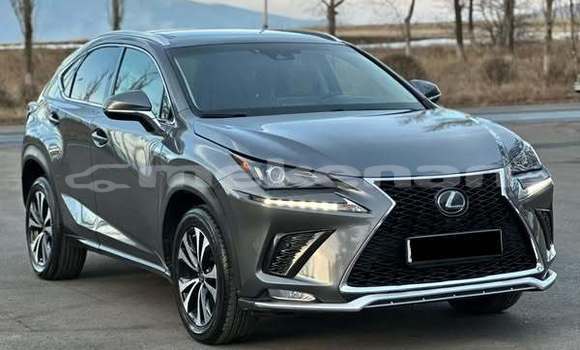 Buy Used Lexus NX Other Car in Armavir in Armavir Buy Used Lexus NX Other Car in Armavir in Armavir