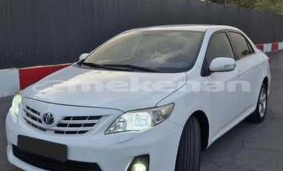 Buy Used Toyota Corolla Other Car in Armavir in Armavir Buy Used Toyota Corolla Other Car in Armavir in Armavir