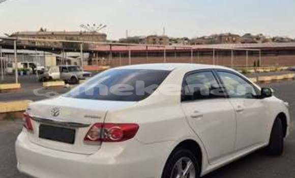 Buy Used Toyota Corolla Other Car in Armavir in Armavir Buy Used Toyota Corolla Other Car in Armavir in Armavir