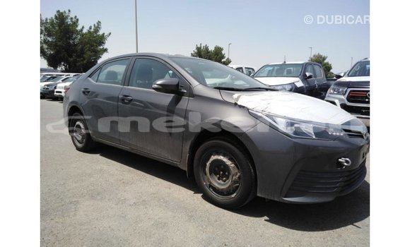 Buy Import Toyota Corolla Other Car in Import - Dubai in Aragatsotn Buy Import Toyota Corolla Other Car in Import - Dubai in Aragatsotn