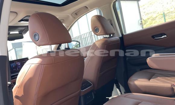 Buy Used Nissan Pathfinder White Car in Yerevan in Yerevan Buy Used Nissan Pathfinder White Car in Yerevan in Yerevan