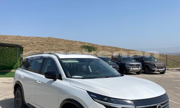 Buy Used Nissan Pathfinder White Car in Yerevan in Yerevan Buy Used Nissan Pathfinder White Car in Yerevan in Yerevan