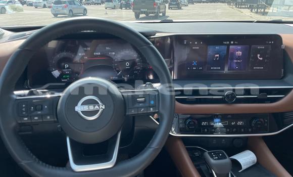 Buy Used Nissan Pathfinder White Car in Yerevan in Yerevan Buy Used Nissan Pathfinder White Car in Yerevan in Yerevan