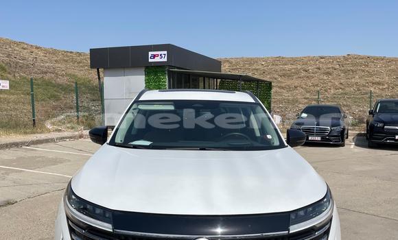 Buy Used Nissan Pathfinder White Car in Yerevan in Yerevan Buy Used Nissan Pathfinder White Car in Yerevan in Yerevan