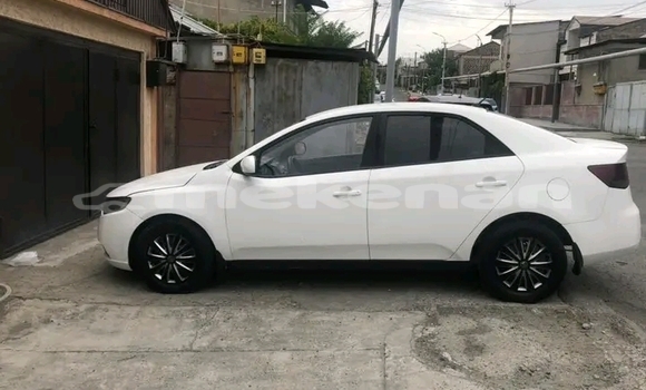 Buy Used Kia Cerato White Car in Armavir in Armavir Buy Used Kia Cerato White Car in Armavir in Armavir
