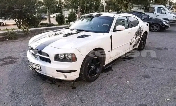 Buy Used Dodge Charger White Car in Artashat in Ararat Buy Used Dodge Charger White Car in Artashat in Ararat