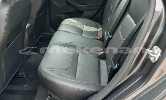 Buy Used Ford Focus Black Car in Armavir in Armavir Buy Used Ford Focus Black Car in Armavir in Armavir