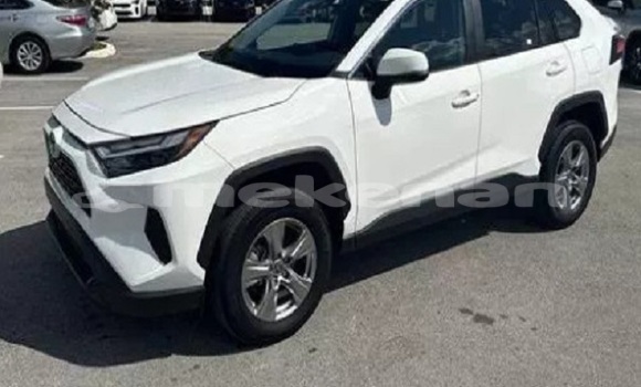 Buy Used Toyota RAV4 White Car in Gyumri in Shirak Buy Used Toyota RAV4 White Car in Gyumri in Shirak