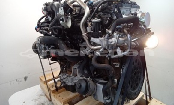 Buy Ford Ranger 3.2L Engine in Yerevan in Yerevan Buy Ford Ranger 3.2L Engine in Yerevan in Yerevan