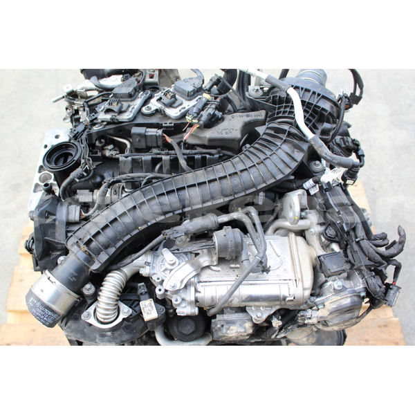 Big with watermark s l16000