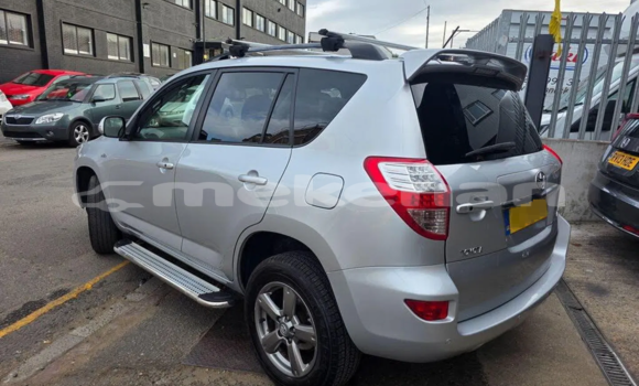Buy Used Toyota RAV4 White Car in Tashir in Lori Buy Used Toyota RAV4 White Car in Tashir in Lori