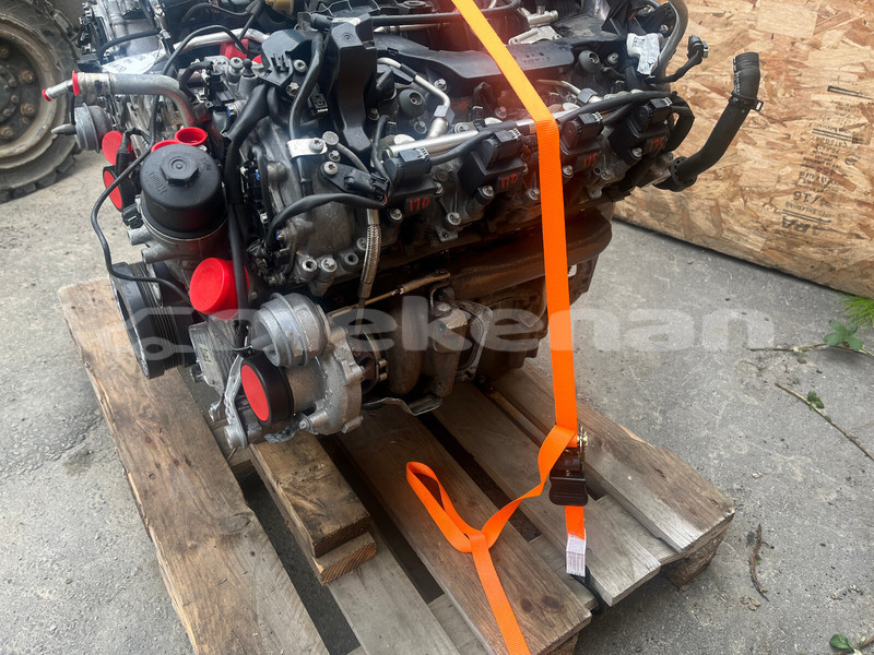 Big with watermark d