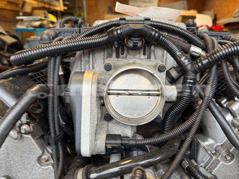 Big with watermark 12