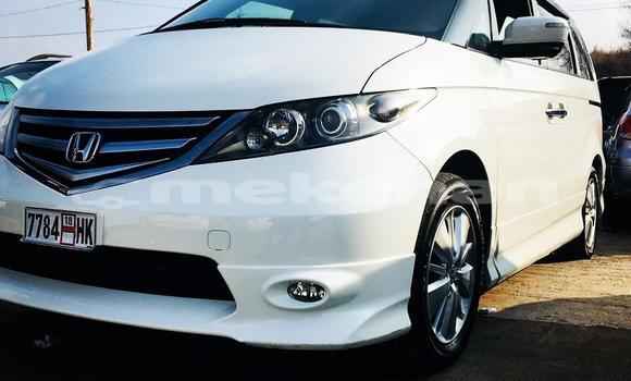 Buy Used Honda Elysion White Car in Yerevan in Yerevan