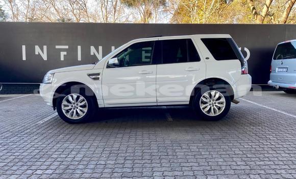 Buy Used Land Rover Freelander White Car in Yerevan in Yerevan Buy Used Land Rover Freelander White Car in Yerevan in Yerevan