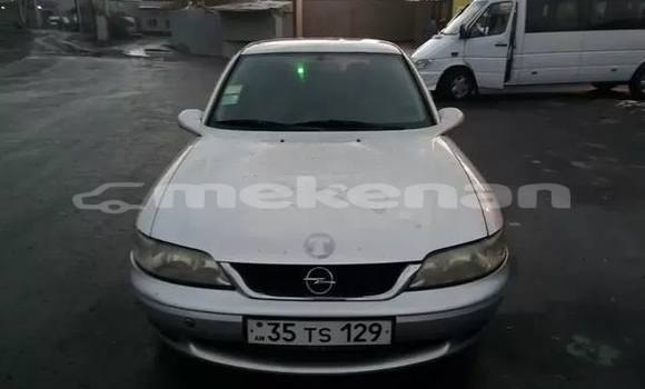 Buy Used Opel Vectra Other Car in Yerevan in Yerevan