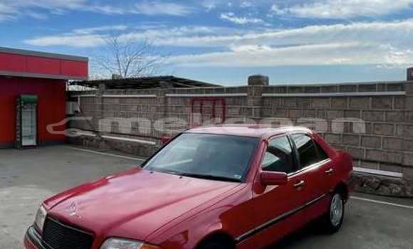 Buy Used Toyota 4Runner Other Car in Alaverdi in Lori