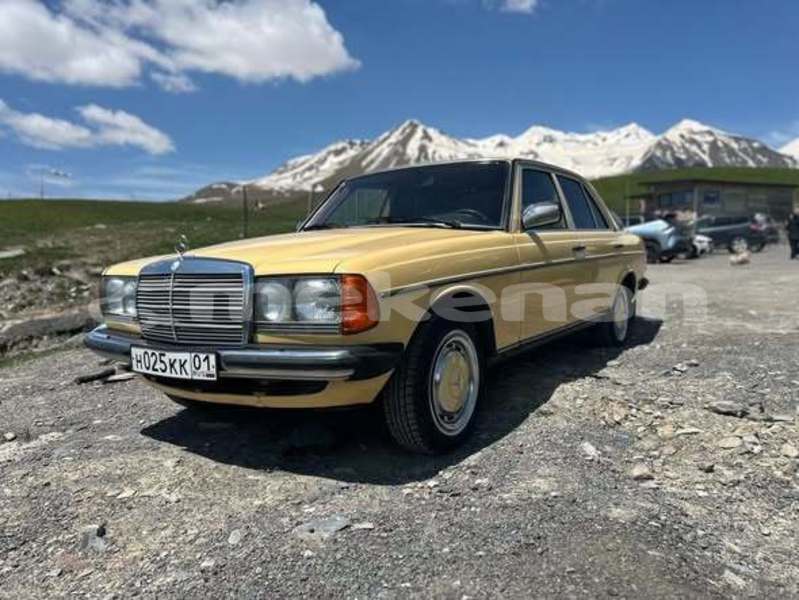 Big with watermark mercedes benz w110 lori alaverdi 5766