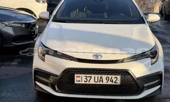 Buy Used Toyota Corolla Other Car in Armavir in Armavir