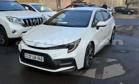 Buy Used Toyota Corolla Other Car in Armavir in Armavir Buy Used Toyota Corolla Other Car in Armavir in Armavir
