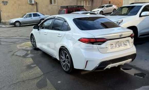 Buy Used Toyota Corolla Other Car in Armavir in Armavir Buy Used Toyota Corolla Other Car in Armavir in Armavir