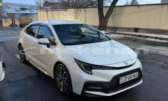 Buy Used Toyota Corolla Other Car in Armavir in Armavir Buy Used Toyota Corolla Other Car in Armavir in Armavir
