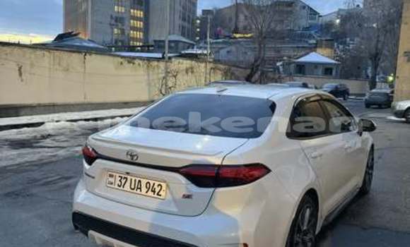 Buy Used Toyota Corolla Other Car in Armavir in Armavir Buy Used Toyota Corolla Other Car in Armavir in Armavir