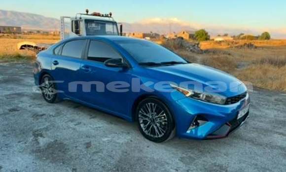 Buy Used Kia Forte Other Car in Armavir in Armavir