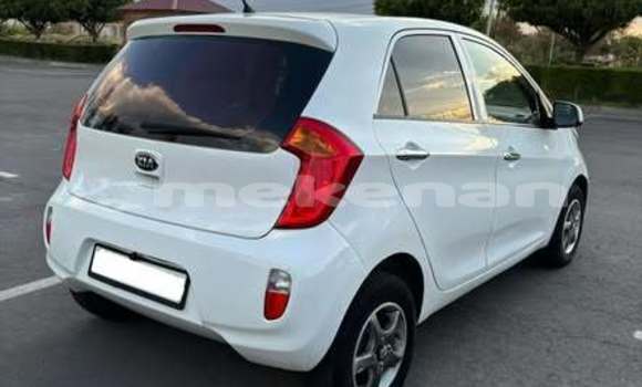 Buy Used Kia Picanto Other Car in Armavir in Armavir Buy Used Kia Picanto Other Car in Armavir in Armavir