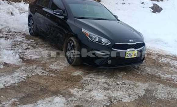 Buy Used Kia Forte Other Car in Armavir in Armavir Buy Used Kia Forte Other Car in Armavir in Armavir