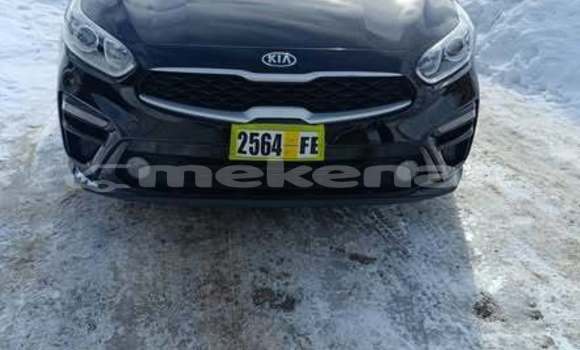 Buy Used Kia Forte Other Car in Armavir in Armavir Buy Used Kia Forte Other Car in Armavir in Armavir