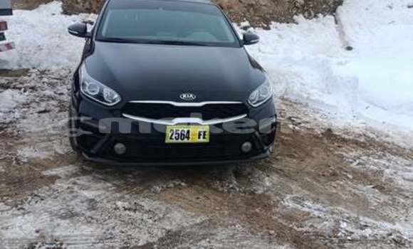 Buy Used Kia Forte Other Car in Armavir in Armavir Buy Used Kia Forte Other Car in Armavir in Armavir
