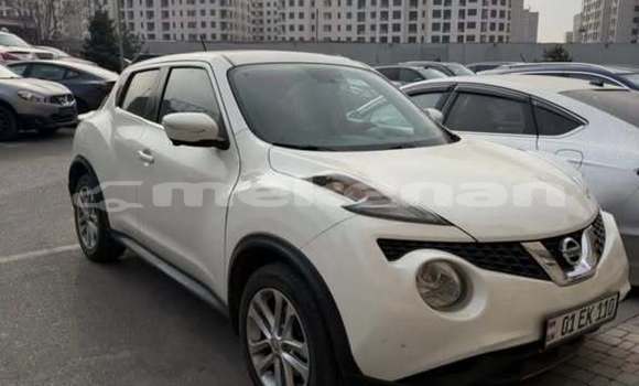 Buy Used Toyota Alphard Other Car in Armavir in Armavir