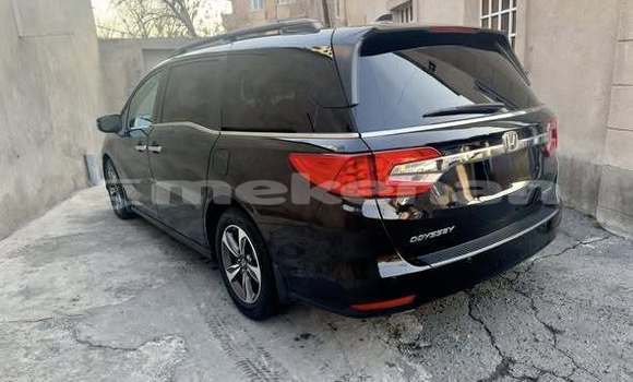 Buy Used Honda Odyssey Other Car in Armavir in Armavir