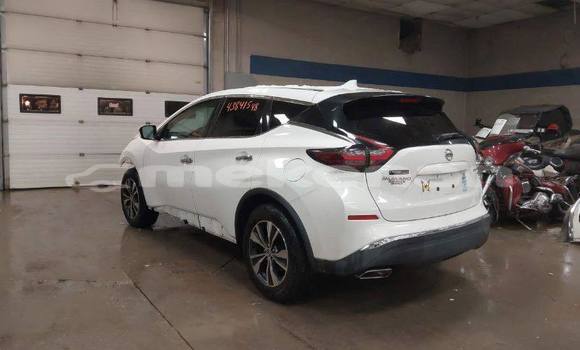 Buy Used Nissan Murano Other Car in Armavir in Armavir Buy Used Nissan Murano Other Car in Armavir in Armavir