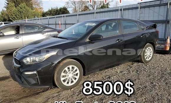 Buy Used Kia Forte Other Car in Armavir in Armavir Buy Used Kia Forte Other Car in Armavir in Armavir