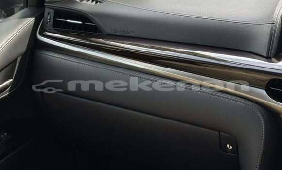 Buy Used Lexus LX 570 White Car in Yerevan in Yerevan Buy Used Lexus LX 570 White Car in Yerevan in Yerevan
