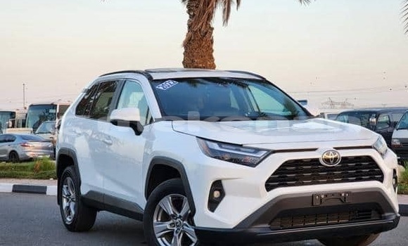 Buy Used Toyota RAV4 White Car in Armavir in Armavir