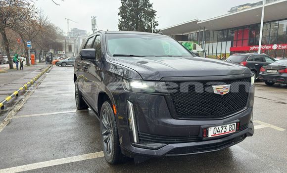 Buy Used Cadillac Escalade Black Car in Yerevan in Yerevan
