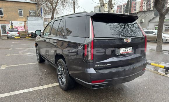 Buy Used Cadillac Escalade Black Car in Yerevan in Yerevan Buy Used Cadillac Escalade Black Car in Yerevan in Yerevan