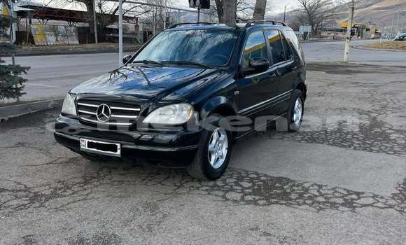 Buy Used Mercedes-Benz ML–Class Black Car in Alaverdi in Lori