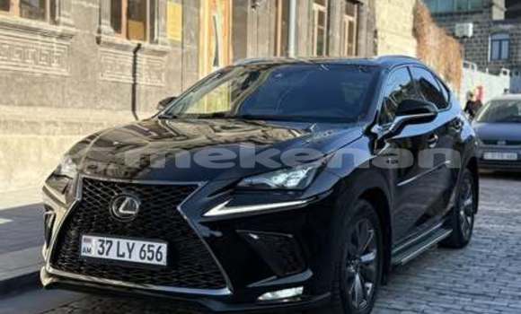 Buy Used Lexus NX Other Car in Alaverdi in Lori