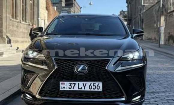 Buy Used Lexus NX Other Car in Alaverdi in Lori Buy Used Lexus NX Other Car in Alaverdi in Lori