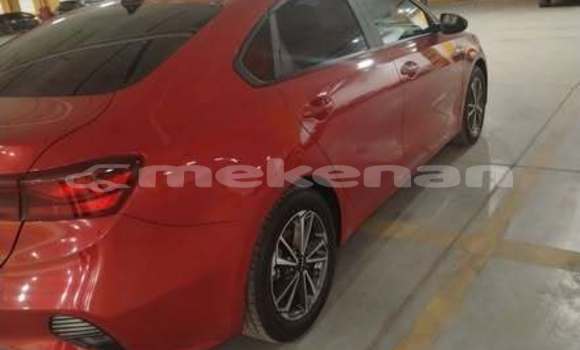 Buy Used Toyota Altezza Other Car in Armavir in Armavir