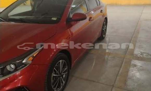 Buy Used Toyota Altezza Other Car in Armavir in Armavir Buy Used Toyota Altezza Other Car in Armavir in Armavir