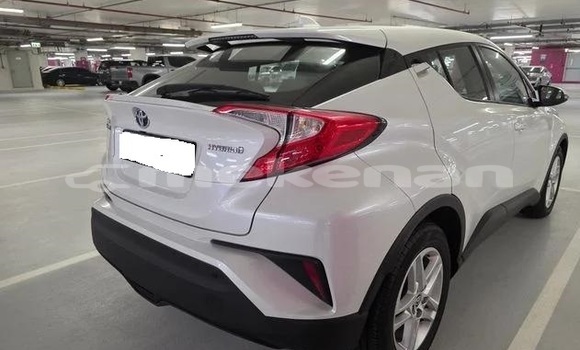 Buy Used Toyota C-HR White Car in Armavir in Armavir Buy Used Toyota C-HR White Car in Armavir in Armavir