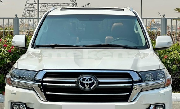 Buy Used Toyota Land Cruiser White Car in Stepanakert in Stepanakert